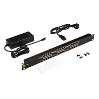 LANMASTER LAN-PP12-POE/A1 Панель POE 19