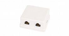 Компьютерные розетки NETLAN EC-UWO-2-UD2-WT-10