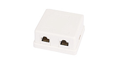 NETLAN EC-UWO-2-UD2-WT-10 Настенная розетка, 2 порта, Кат.5e (Класс D), 100МГц, RJ45/8P8C, 110, T568
