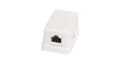 NETLAN EC-UWO-1-UD2-WT-10 Настенная розетка, 1 порт, Кат.5e (Класс D), 100МГц, RJ45/8P8C, 110, T568A