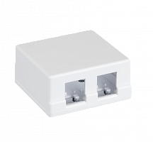 Корпуса розеток NETLAN EC-UWO-2KJ-WT-10
