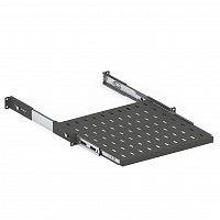 Полки для шкафов и стоек Dannman SSH-1U-450-RAL9005