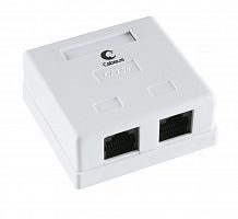 Компьютерные розетки Cabeus WS-8P8C-Cat.5e-2