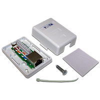 TWT TWT-SM1-45/S6-WH Настенная розетка, 1 порт RJ-45 категории 6, STP, белая